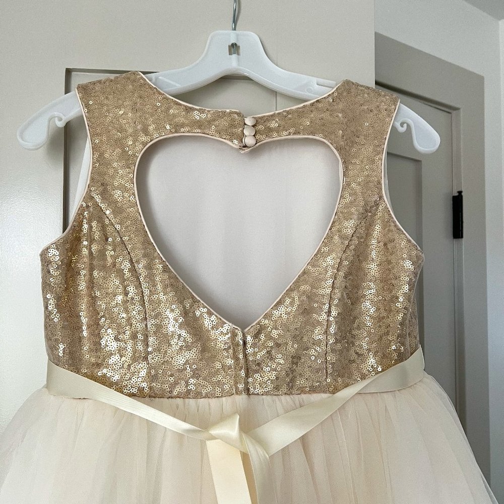David's Bridal Flower Girl Gown -Size 14+